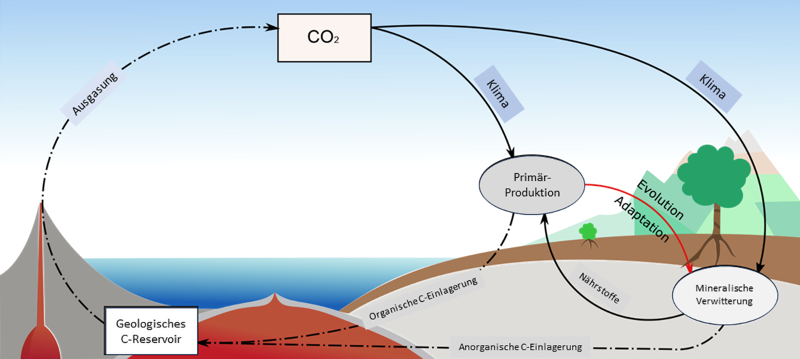 Schema des Kohlenstoffkreislaufs auf der Erde