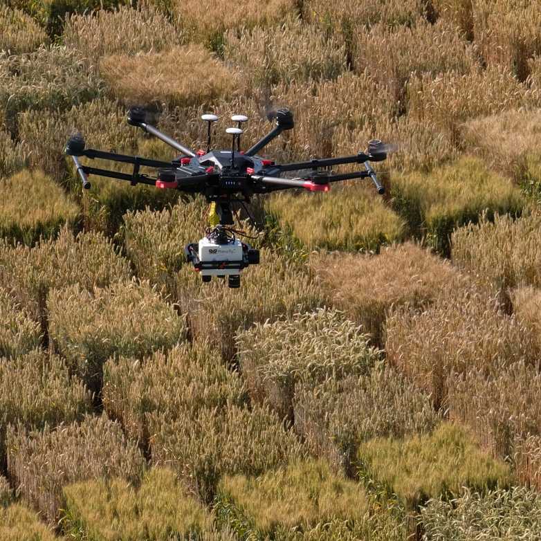 Vergrösserte Ansicht: Hexacopter 601: Eine Drohne fliegt über eine Anbaufläche, um zu erkennen, wie viel Dünger ein Feld benötigt.