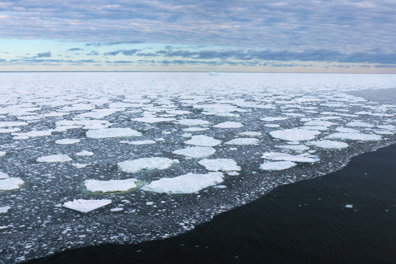 melting sea ice at the ice edge in the ross sea.