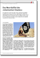 Nr. 166: Das Neo-Kalifat des «Islamischen Staates»