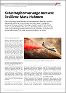 Nr. 245 Katastrophenvorsorge messen: Resilienz-Mass-Nahmen