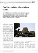 Nr. 299: Der Zustand des Islamischen Staats