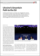 No. 314: Ukraine’s Uncertain Path to the EU