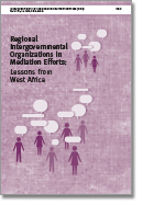 Regional Intergovernmental Organizations in Mediation Efforts