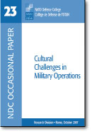 Cultural Challenges in Military Operations