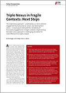 Triple Nexus in Fragile Contexts: Next Steps