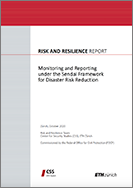 Monitoring and Reporting under the Sendai Framework for Disaster Risk Reduction
