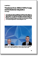 Threatened from Within? NATO, Trump and Institutional Adaptation