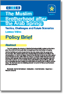 The Muslim Brotherhood after the Arab Spring