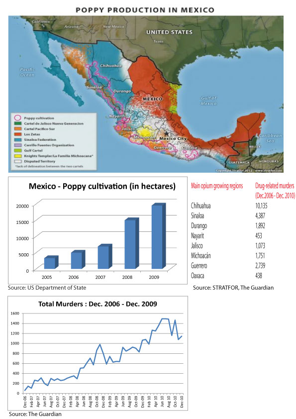 Enlarged view: Poppy Production in Mexico Thumb