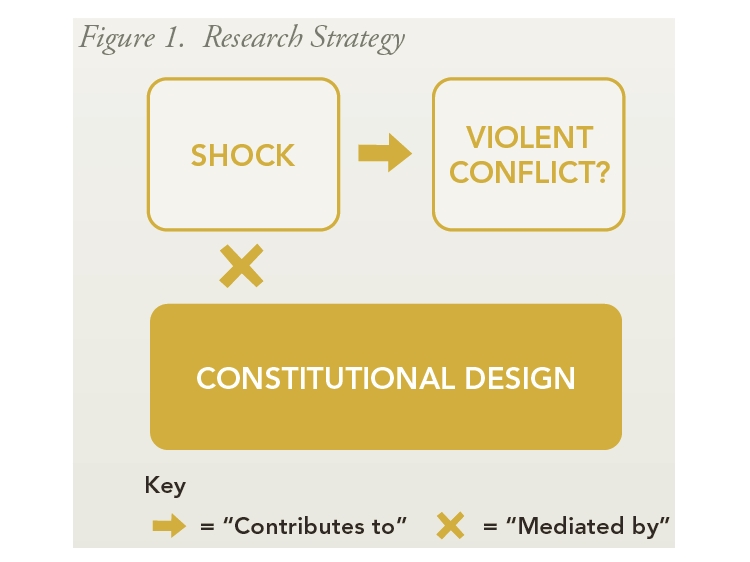Enlarged view: Figure 1 Research Strategy