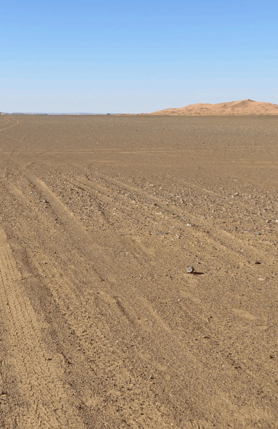 Tracks through the Sahara. (Photo: yellow magpie)