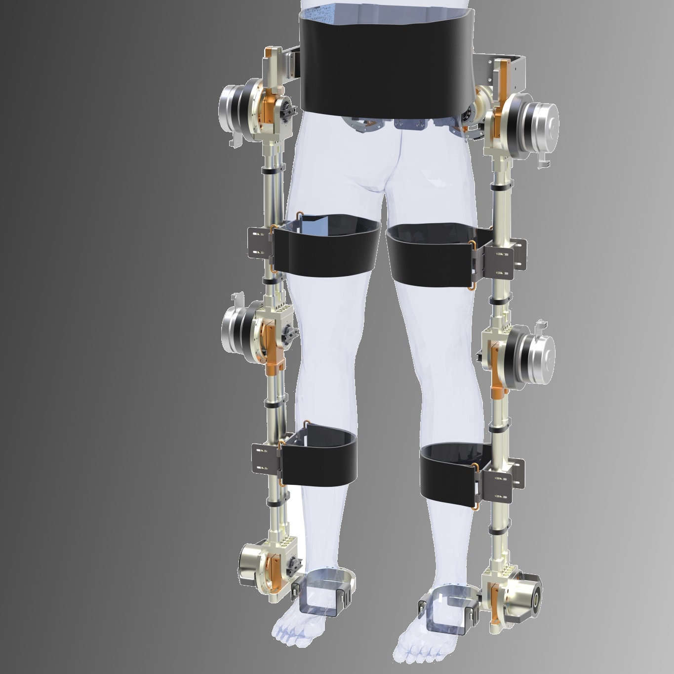 Modular Lower Limb Exoskeletons – Sensory-Motor Systems Lab | ETH Zurich