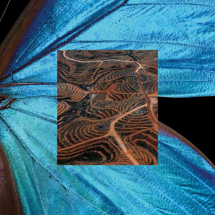 Keyvisual der ersten Ausstellung im extract. Zu sehen ist ein blauer Schmetterlingsflügel und eine karge Landschaft.