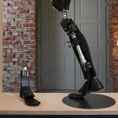 Fuß der Circleg-Prothese, hergestellt aus schwarzem Material mit einem modularen Design aus kombinierten Einzelteilen, die ausgetauscht werden können. 