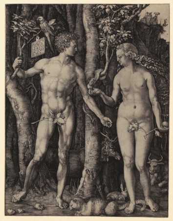 Vergrösserte Ansicht: Adam und Eva, Albrecht Dürer, 1504 (Bild: Graphische Sammlung ETH Zürich)