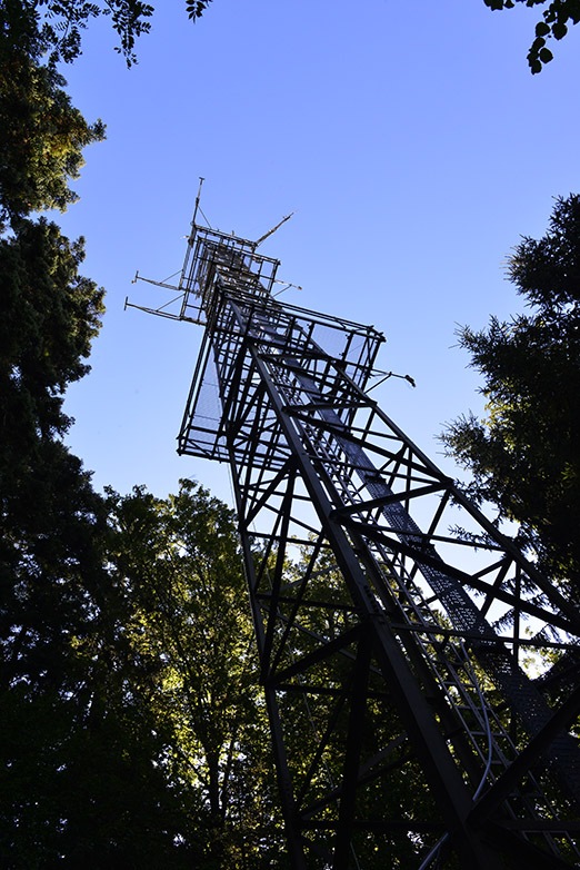 Vergrösserte Ansicht: Hoch über dem Blätterdach, aber räumlich nicht hoch aufgelöst: Messungen des Gasaustauschs auf dem Turm der Lägeren.