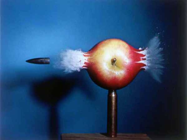 Vergrösserte Ansicht: Ein Klassiker: «Kugel durch Apfel» von Harold Edgerton aus dem Jahr 1964. (Bild: © 2010 MIT. Cour-tesy of MIT Museum)