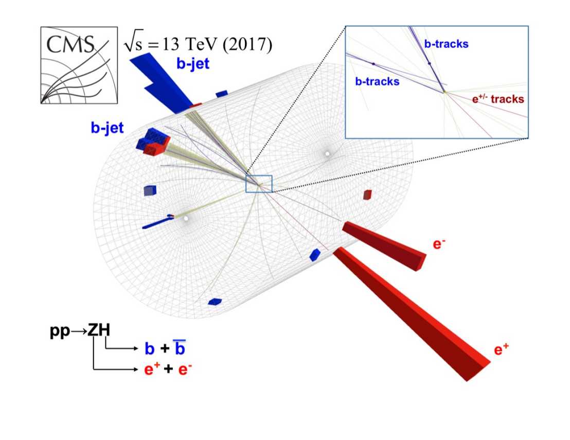 Beispiel einer aufgezeichneten Proton-Proton-Kollision, welche konsistent ist mit der Hypothese, das ein Higgs-Boson produziert wurde, zusammen mit einem Z-Boson. Das Higgs-Boson ist anschliessend in ein b-Quark und dessen Antiteilchen zerfallen.