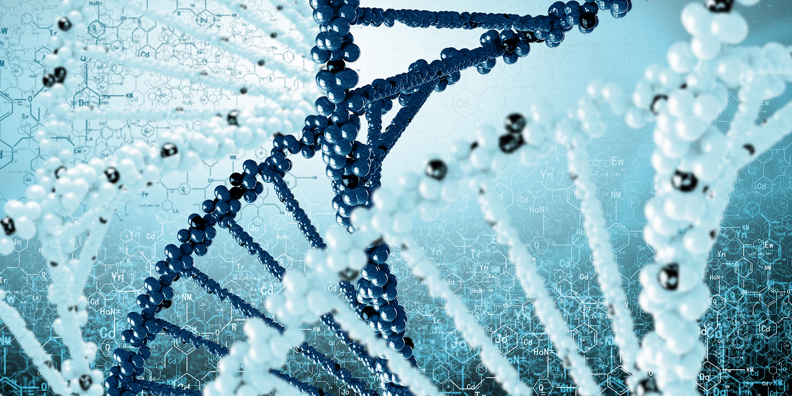 Bei der Zellteilung erkennt die Hefezelle anhand der Zentromere ihrer Chromosomen, ob fremdes genetisches Material - in diesem Symbolbild dunkelblau - in ihr vorhanden ist. (Bild: Colourbox.com)