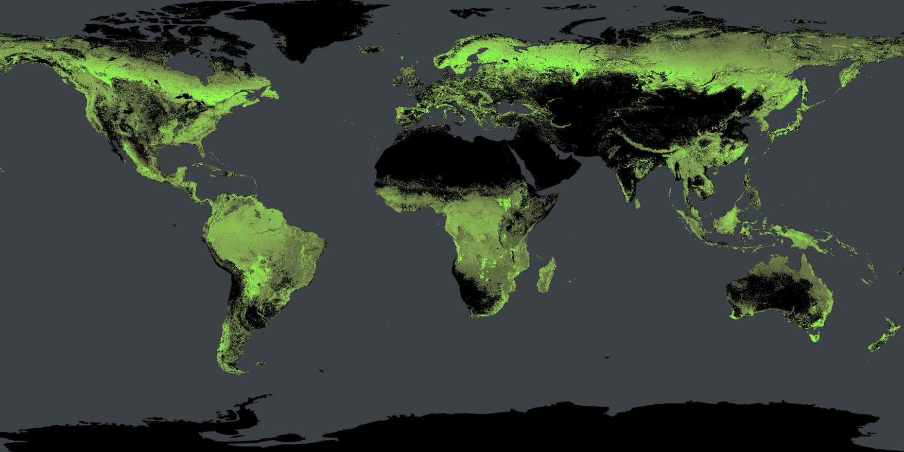 Weltkarte mit aktuellem Baumbestand.