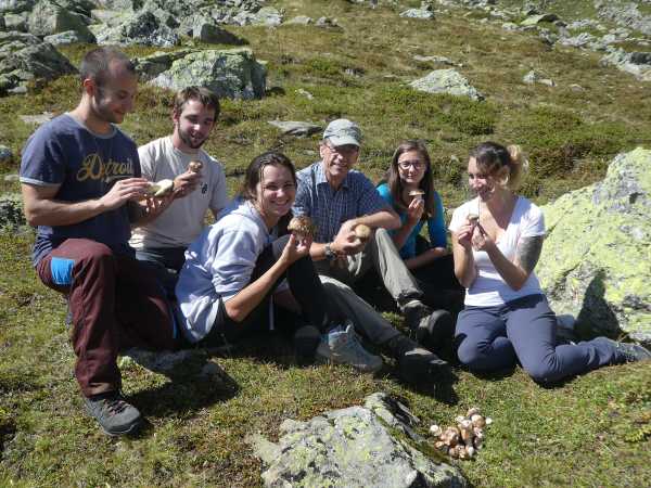 Adrian Leuchtmann (mit Mütze) und Artemis Treindl (r.) mit Studierenden beim Sammeln alpiner Steinpilze.