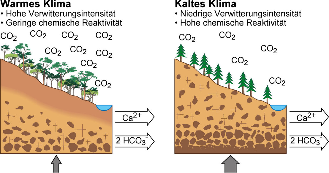 Reaktivität der Landoberfläche: Wenn im Boden mehr unverwitterte Mineralien vorhanden sind (rechts), können diese mit wenig CO2 effizienter chemisch reagieren als Mineralien in stark verwitterten Böden mit viel CO2.&nbsp; Grafik: F. von Blanckenburg/GFZ