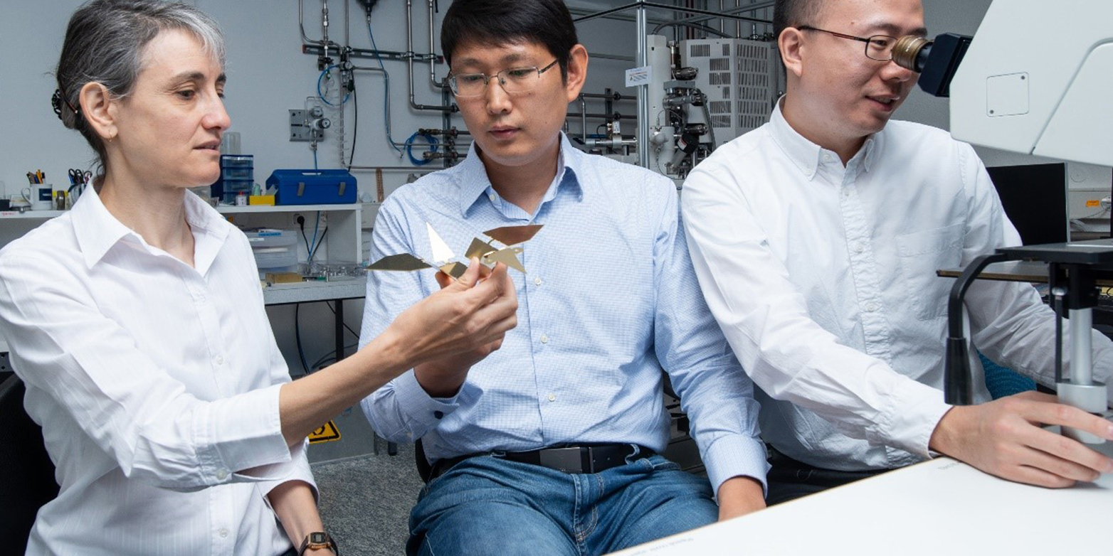 Laura Heyderman (links) und Tian-Yun Huang (Mitte) betrachten ein Modell des Origami-Vogels, während Jizhai Cui den echten Mikroroboter unter einem Mikroskop beobachtet. (Bild: Paul Scherrer Institut /&nbsp; Mahir Dzambegovic)