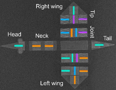 Vergrösserte Ansicht: Die rasterelektronenmikroskopische Aufnahme zeigt das vogelartige Konstrukt mit Anordnungen von nanoskaligen Magneten. Die Magnete können in verschiedenen Ausrichtungen parallel zu den Farbbalken magnetisiert werden. (Bild: PSI / ETH Zürich)