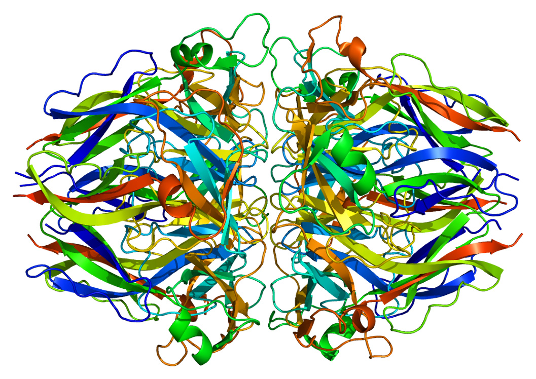 Proteine - hier ein menschliches Collagen COL4A1 - haben Ruedi Aebersold ein Leben lang fasziniert. (Grafik: Wikimedia Commons, CC BY-SA 3.0 )