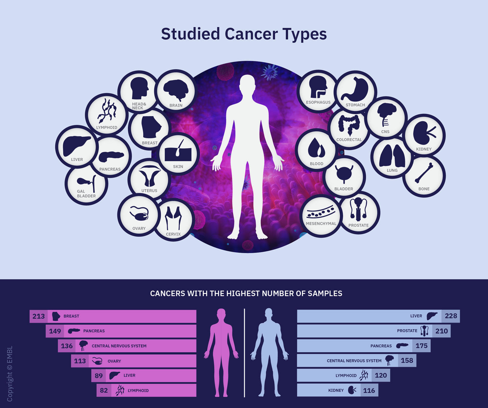Vergrösserte Ansicht: Ein Überblick über die im Rahmen des Pan-Cancer-Projekts untersuchten Krebsarten. Im unteren Teil sind die sechs Krebsarten (für Männer und Frauen) aufgeführt, für die die meisten Proben zur Verfügung standen. (Grafik: Rayne Zaayman-Gallant/EMBL)