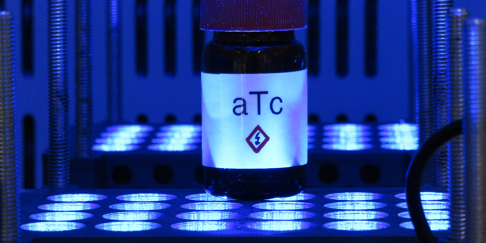 Das UVA-empfindliche anhydroTetracyclin lässt sich in Zellkulturen einsetzen, um Genaktivitäten zu regulieren. (Bild: Armin Baumschlager / ETH Zürich)