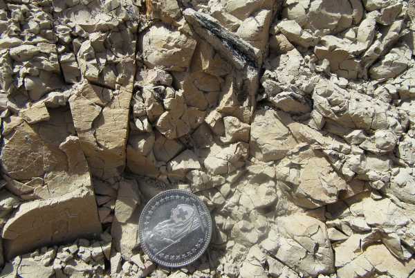 Siderit-führender Bodenhorizont in Alberhill, Kalifornien, mit versteinerten Wurzeln. 