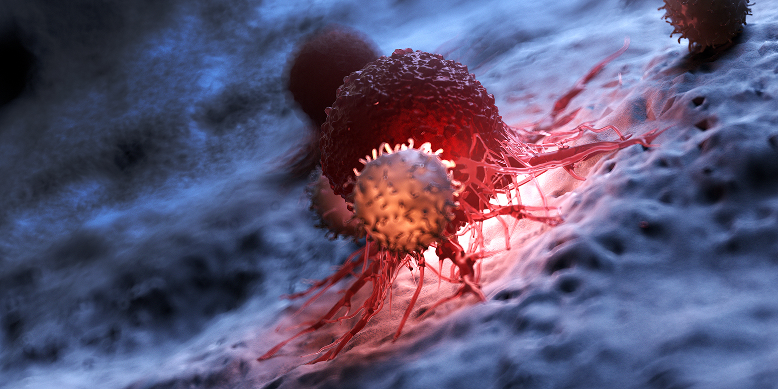 Tumore bestehen aus verschiedenen Zelltypen. Im Vordergrund eine Immunzelle, rot eine Krebszelle. (Grafik: Shutterstock)