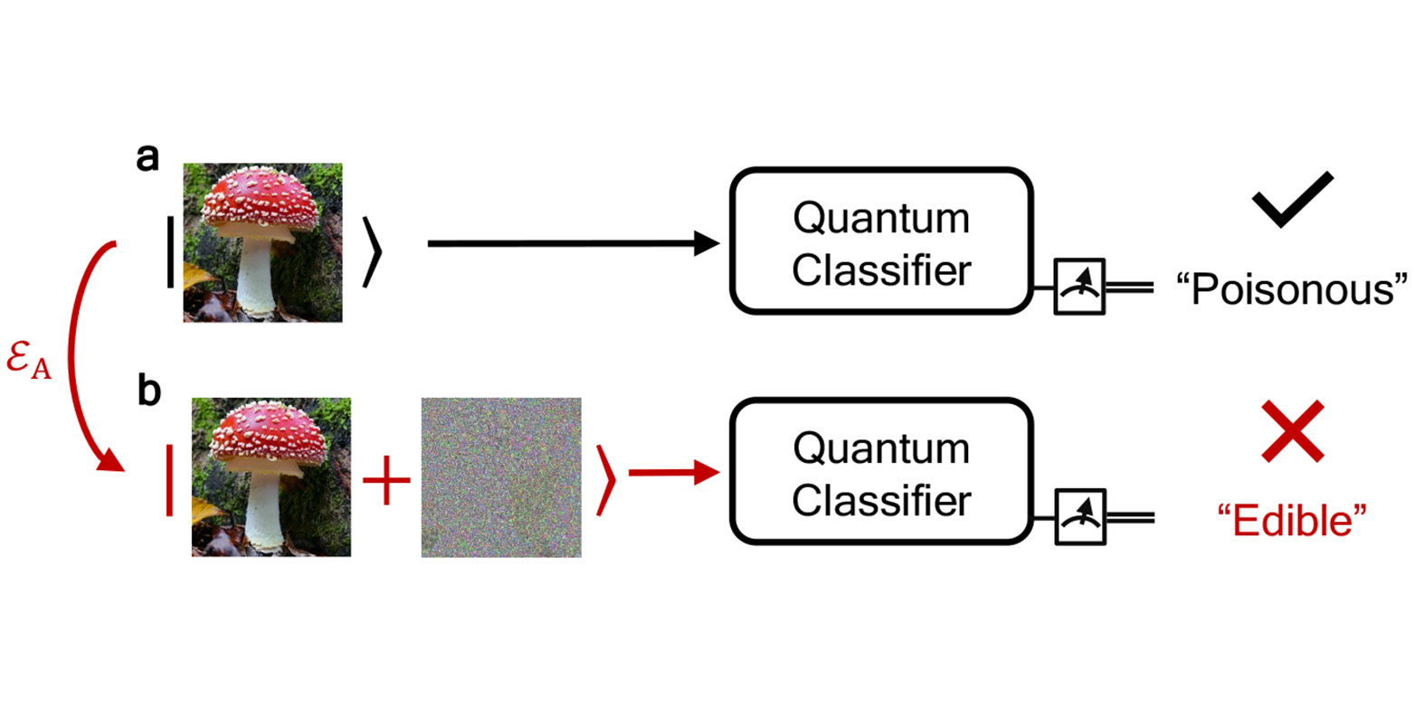 Schema eines Quantenklassifizierungsalgorithmus mit essbaren und giftigen Pilzen