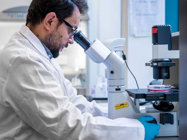 Menschliche Hautzellen werden unter dem Mikroskop untersucht