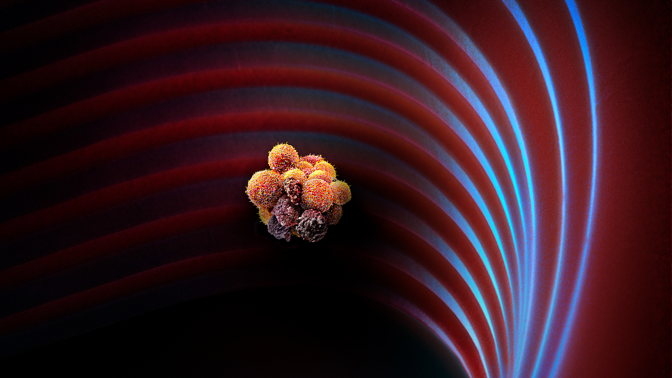  Tumore geben in der Nacht mehr zirkulierende Metastasen bildende Zellen in die Blutbahn ab als tagsüber.  (Bild: Martin Oeggerli (Micronaut), supported by Pathology, University Hospital Basel, BioEM-​Lab, Biozentrum, University Basel, N Ac)