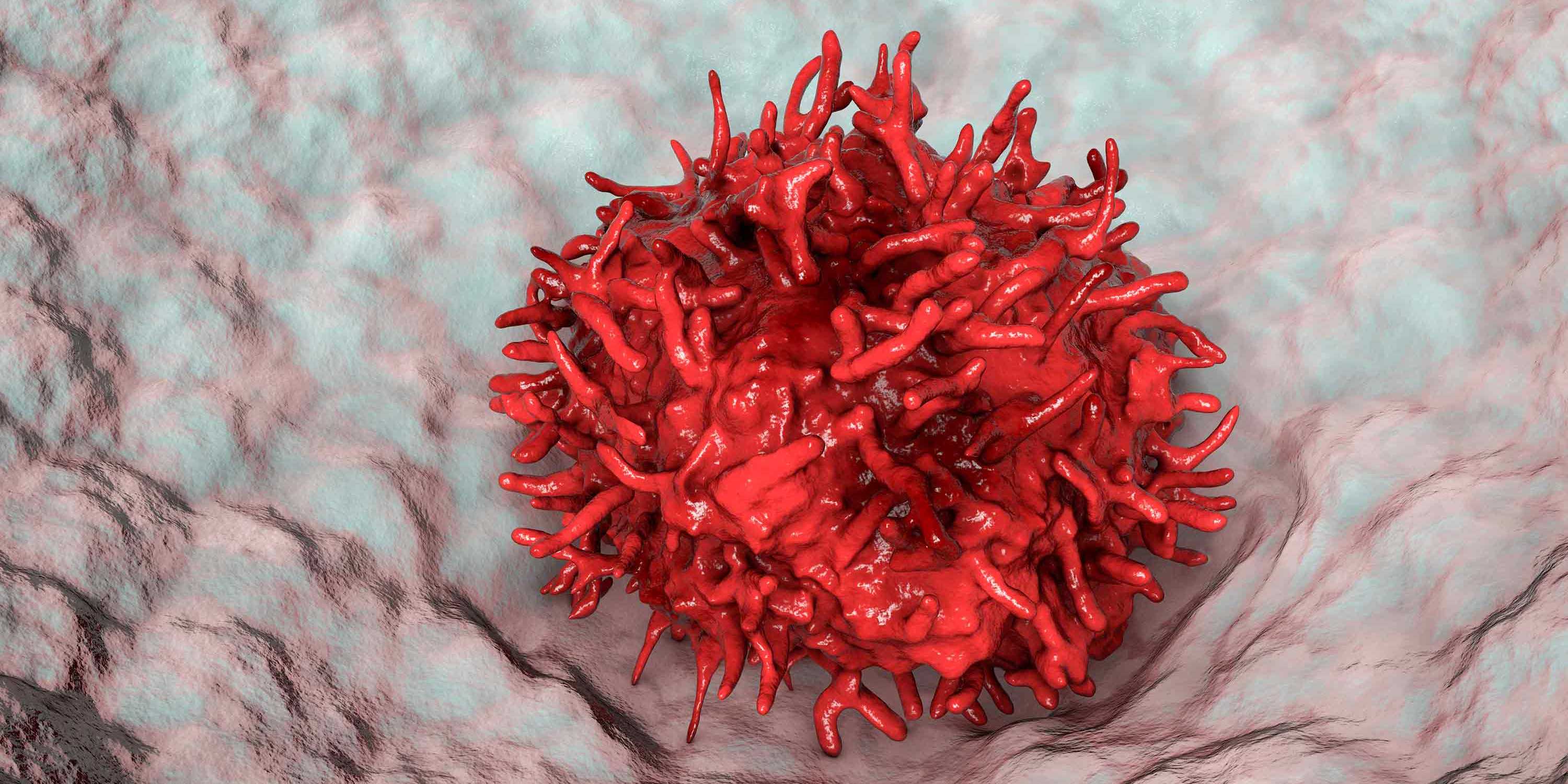 Illustration einer Makrophage in Lungenbläschen (Alveolen). Diese Fresszellen des Immunsystems schützen die Atemwege vor Bakterien und Viren und spielen bei entgleisenden Immunreaktionen eine zentrale Rolle.