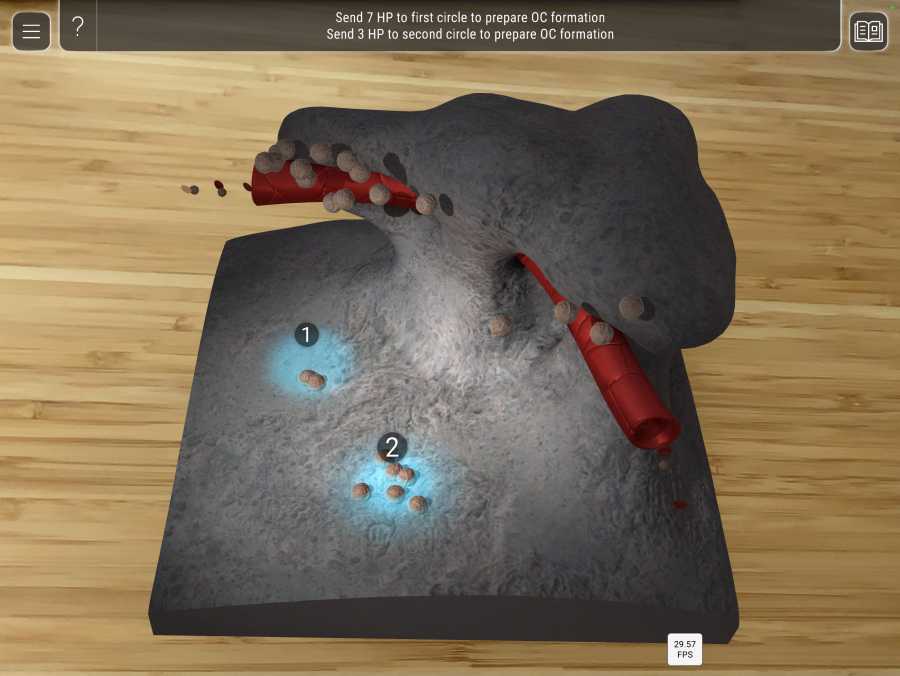 Videospiel-artige 3D-Animation, die eine Knochenoberfläche mit Stammzellen darstellt.