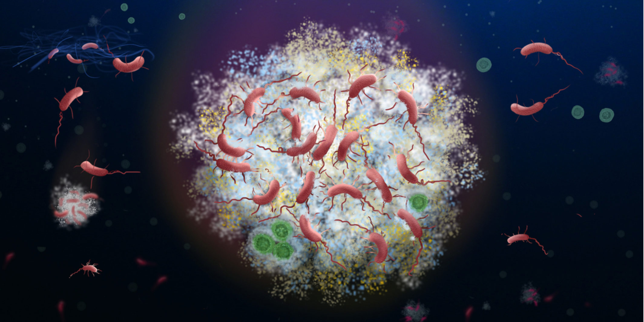 Eine Illustration, wie Meeresbakterien einen Nährstoffpartikel besiedeln.