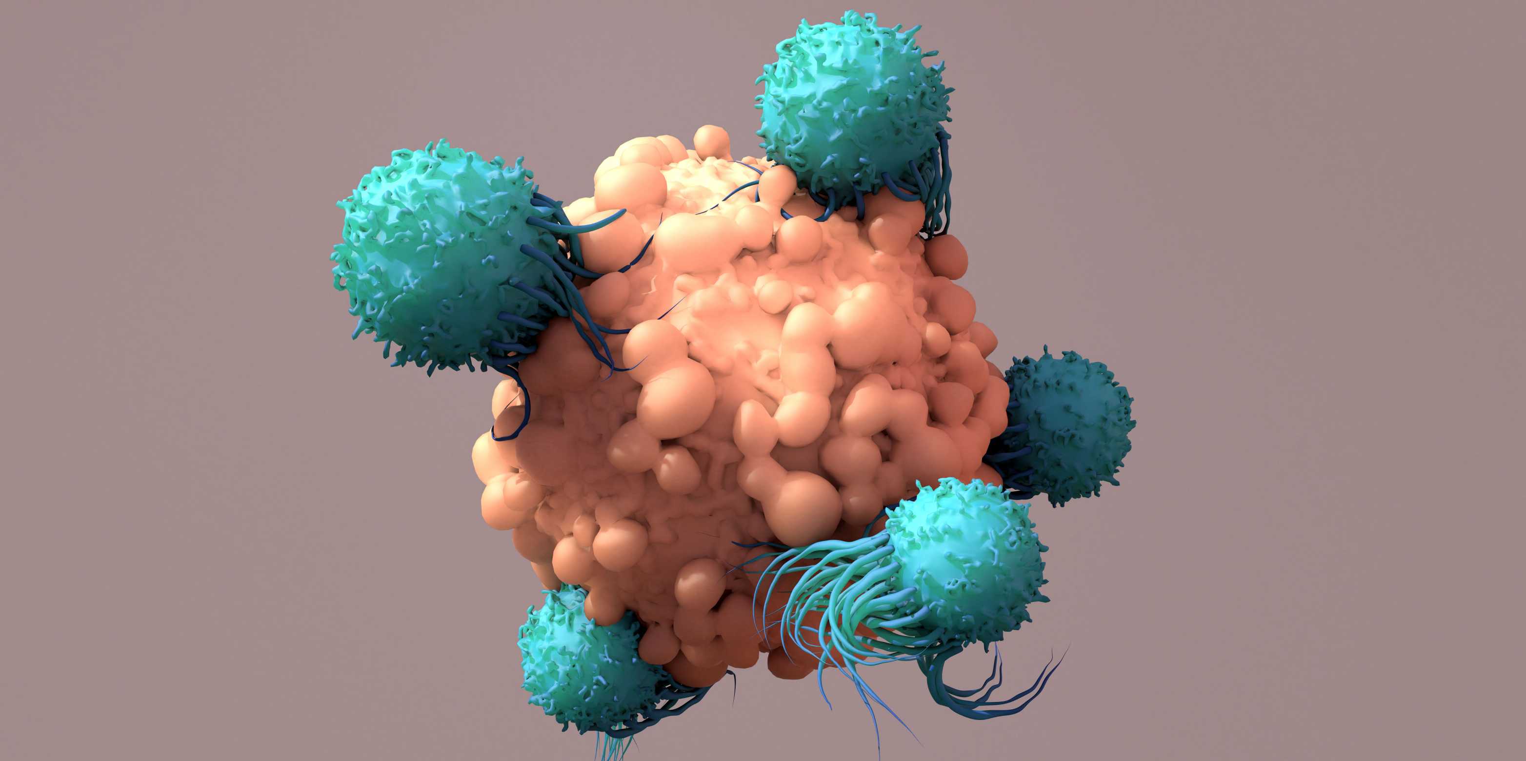 Eine Krebszelle wird von fünf kleineren Immunzellen bekämpft.