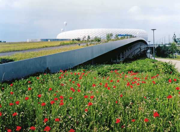Die Allianz Arena von Aussen mit Wiese und Mohnblumen vorne dran.