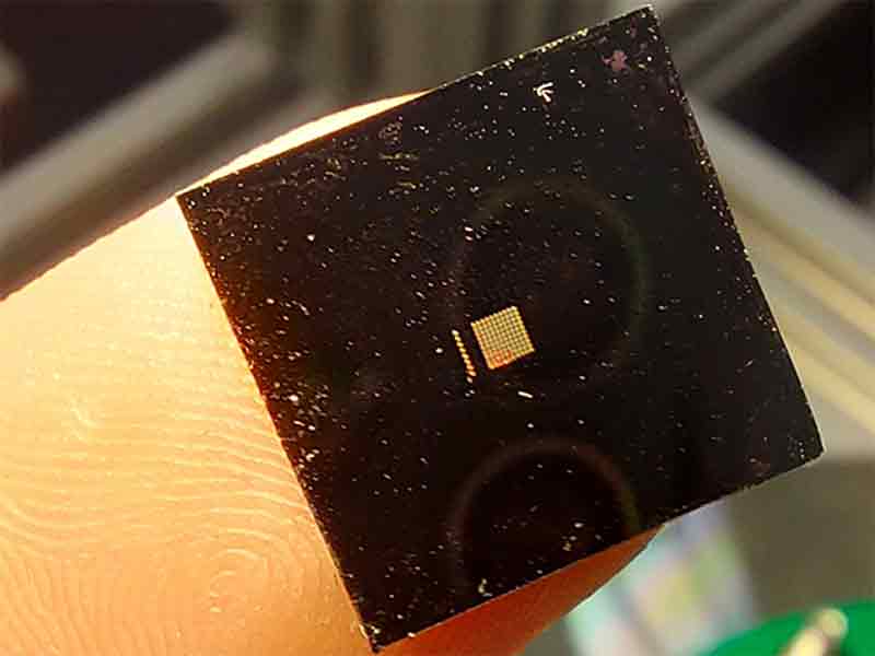 Vergrösserte Ansicht: Schallgesteuerter Sensor: Schwarzes Plättchen auf Fingerbeere