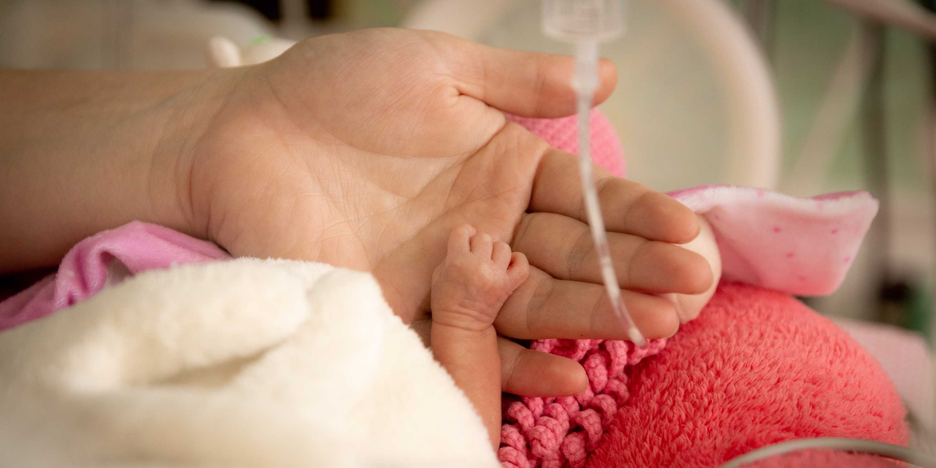 Baby-Hand liegt in der Hand eines Erwachsenen in einem Inkubator