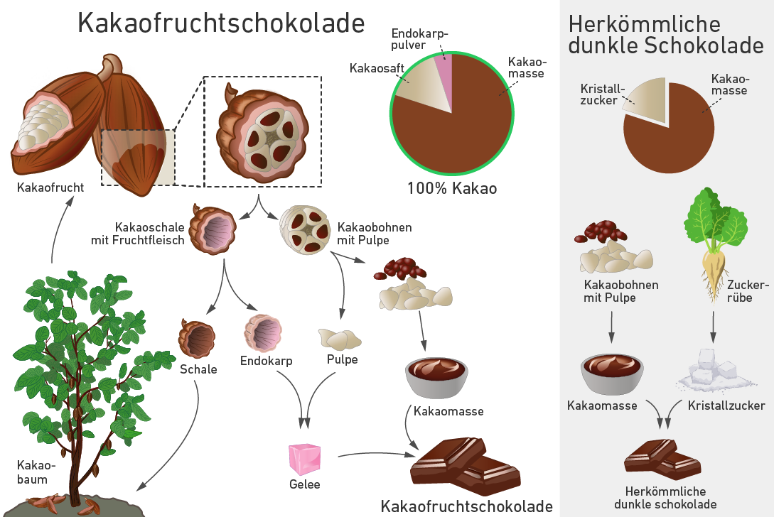 Vergrösserte Ansicht: Darstellung welche zeigt, wie die Teile der gesamten Kakaofrucht verwertet werden.