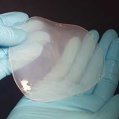 Jemand hält mit blauen Handschuhen die im Nasszustand durchsichtige bakterielle Zellulose.