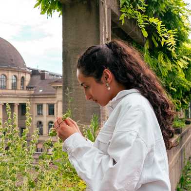 Fatima Ali Ebrahim regarde une plante sur la terrasse de l'ETH