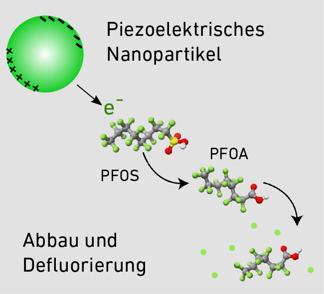 Grafik von Abbau und Defluorierung