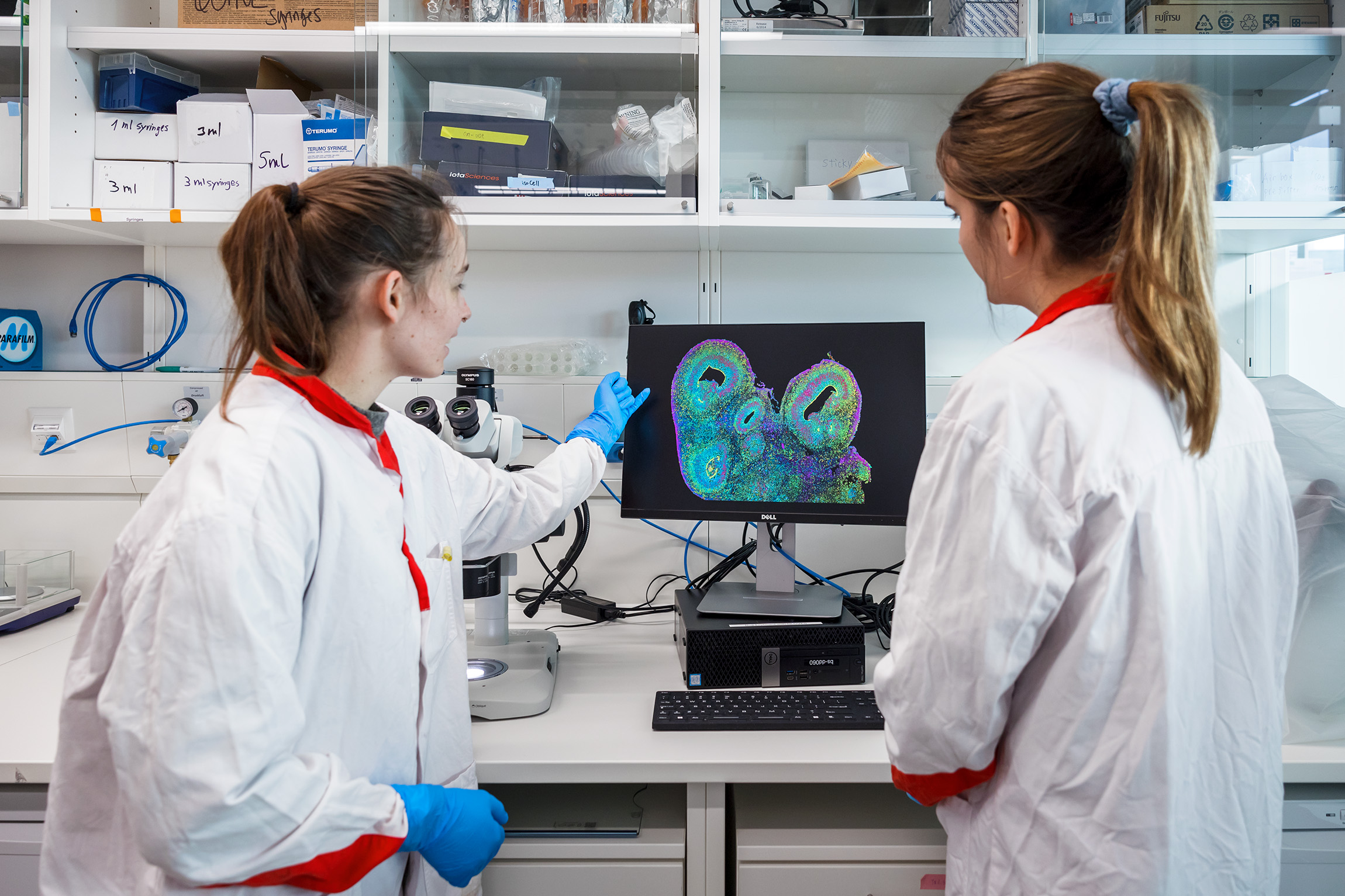 Zwei Frauen im Laborkittel schauen sich auf einem Bildschirm im Labor etwas an.