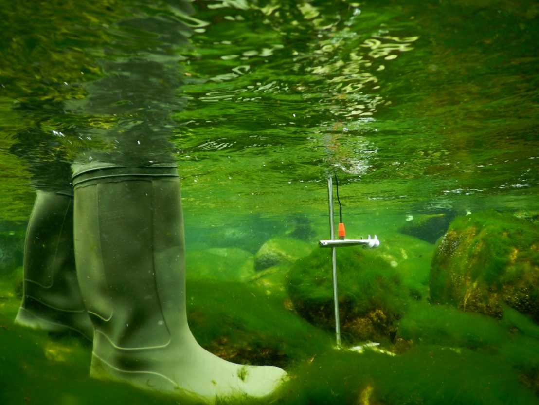 Laboratorio sul fiume Ticino